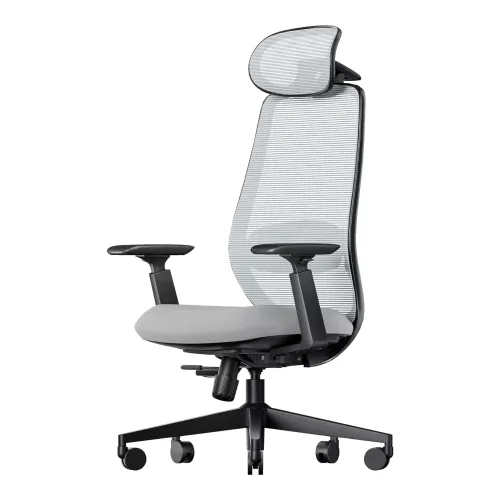 Silla de Escritorio Ergonómica Ajustable 360°/130° ProtoArc Ec200